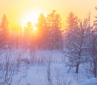 Мороз и солнце - день чудесный!