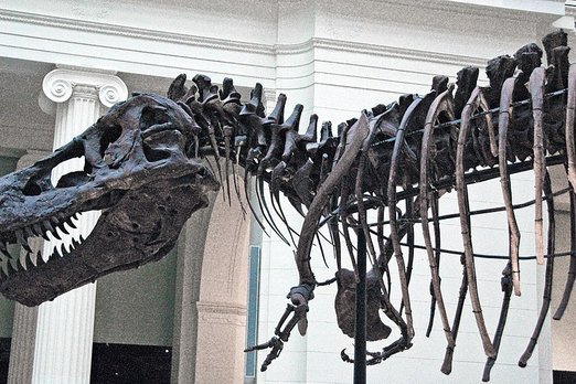 В боливийском парке найдено более 16 000 следов динозавров