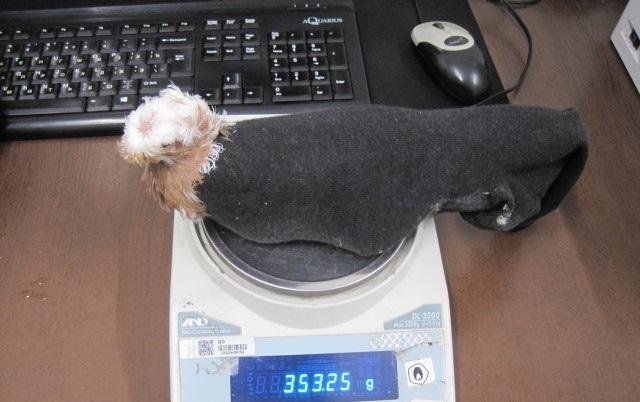 Фото: Северо-Западное таможенное управление