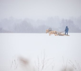 Зимняя сказка