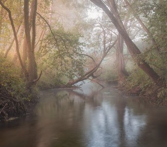 Тихий уголок природы