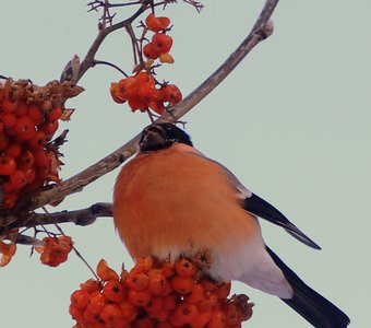 Похолодало