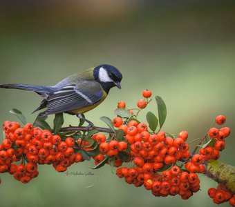 Зима на юге.