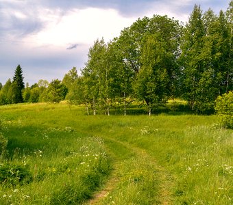 Неведомая дорожка