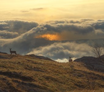 Выше облаков
