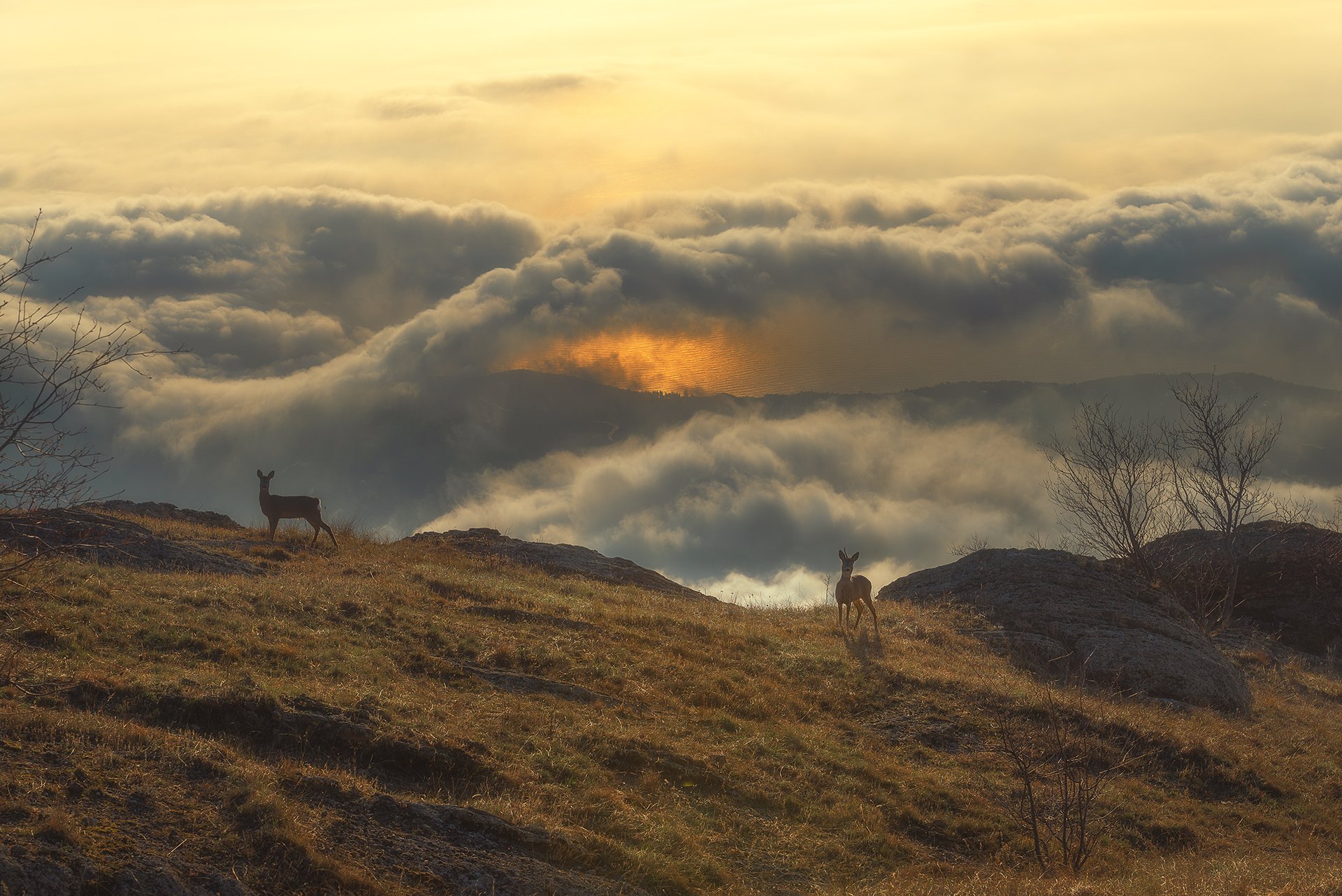 Выше облаков