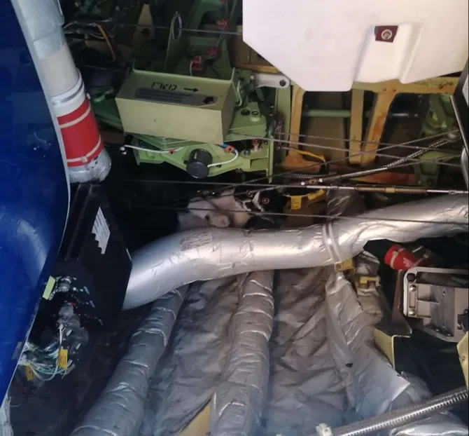 Фото: thesun.co.uk