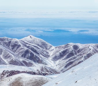 Город в голубом