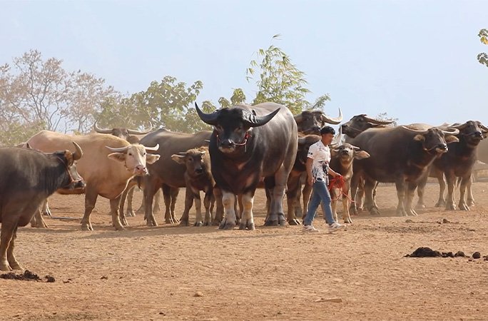 Фото: Guinness World Records
