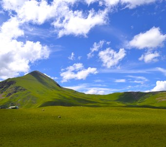 Безмятежность