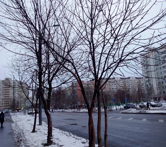 Московские улицы