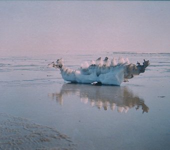 Встреча с динозавром