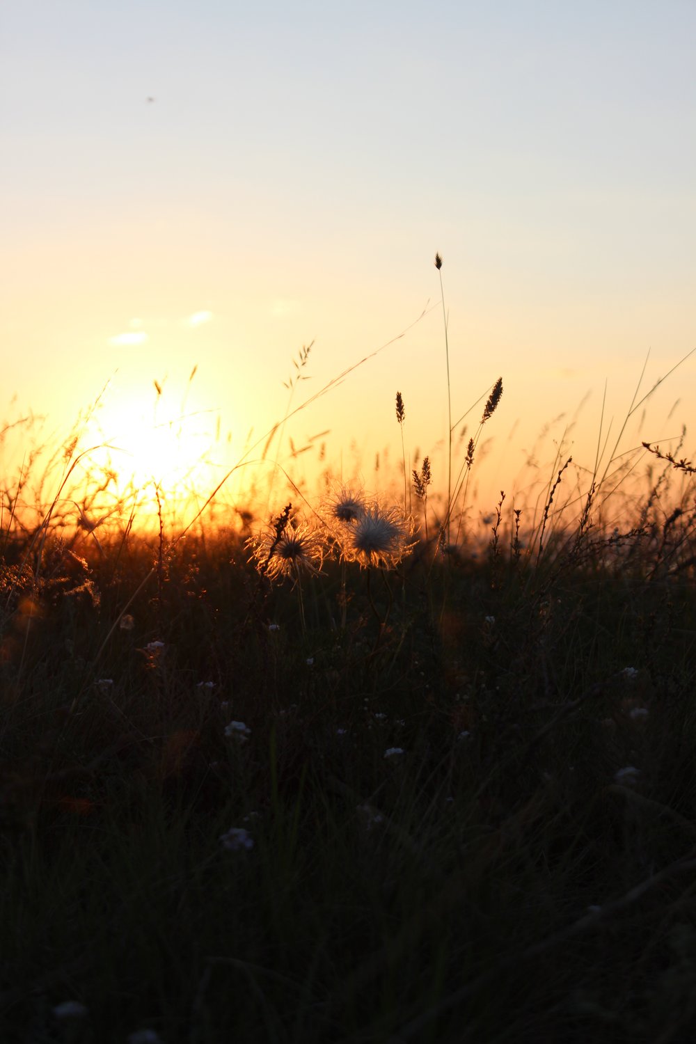 Золотой час