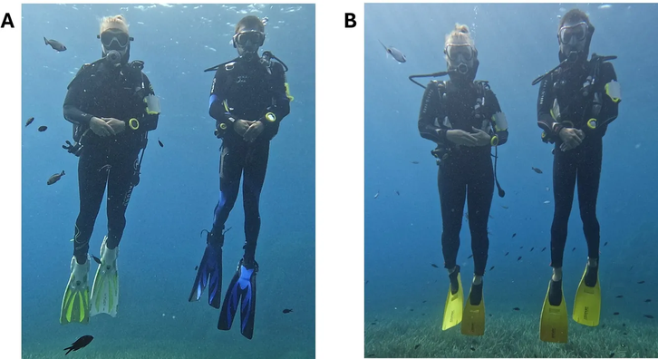 Фото: Biology Letters