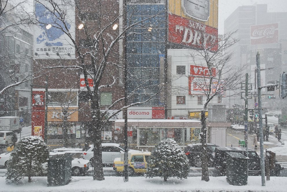 В Японии туристы платят за то, чтобы убирать снег