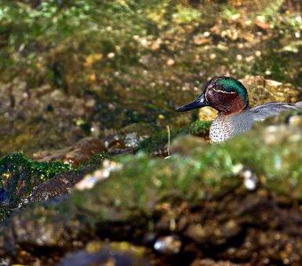 Вас заметили 👀
