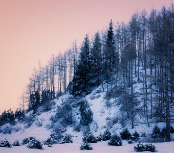 Пробуждение