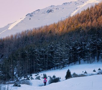 Февраль в ущелье Чункурчак