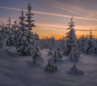 После заката февральского солнца