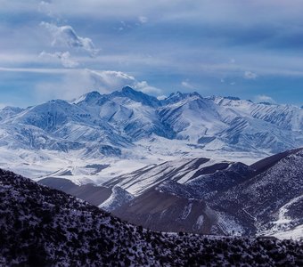 Дорогами весны