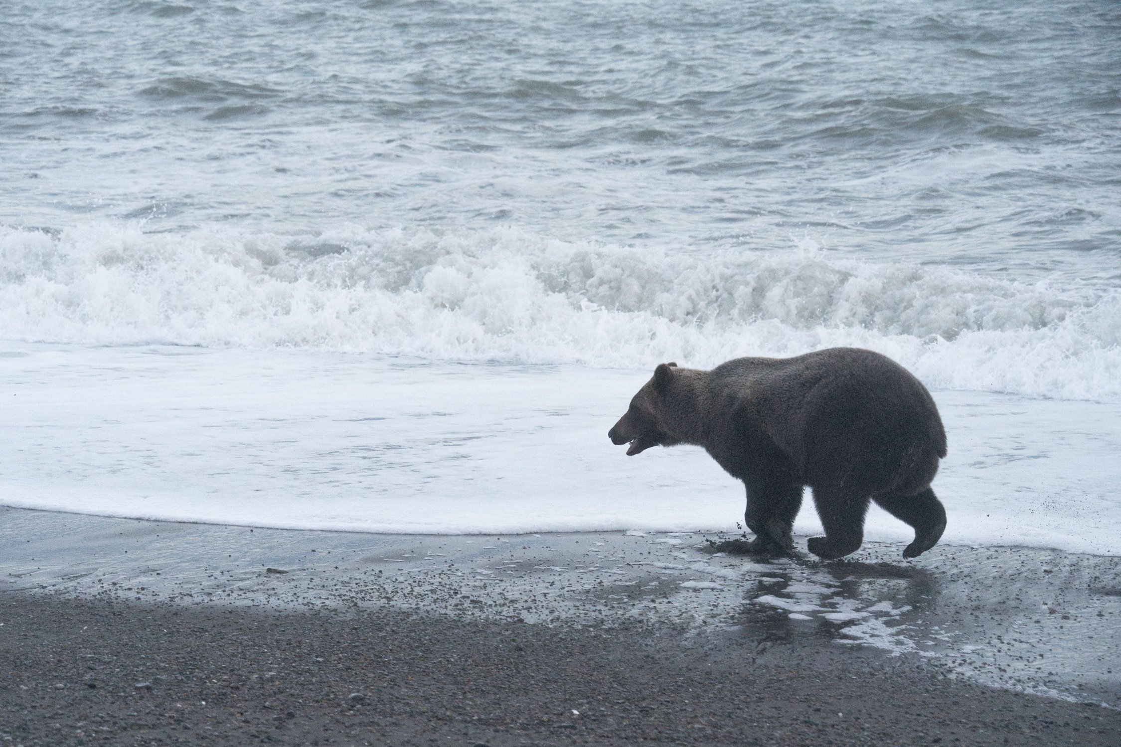 Хозяин косы