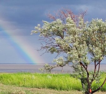 Сентябрьская радуга