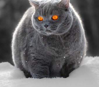 На весенней прогулки