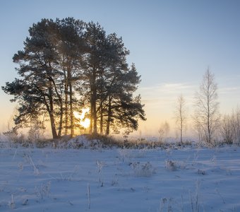 Утренняя дымка