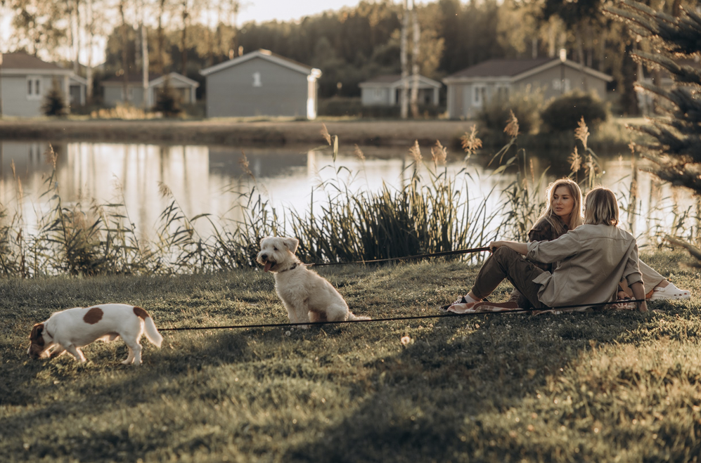 В России появился первый сертифицированный Pet Friendly отель