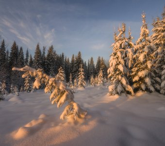 В свете вечернего солнца