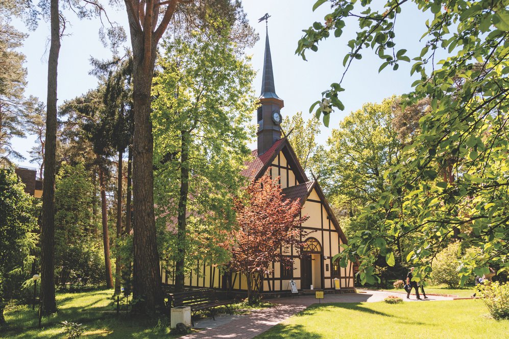 Фото: Андрей Белавин / Туту Медиаразведка