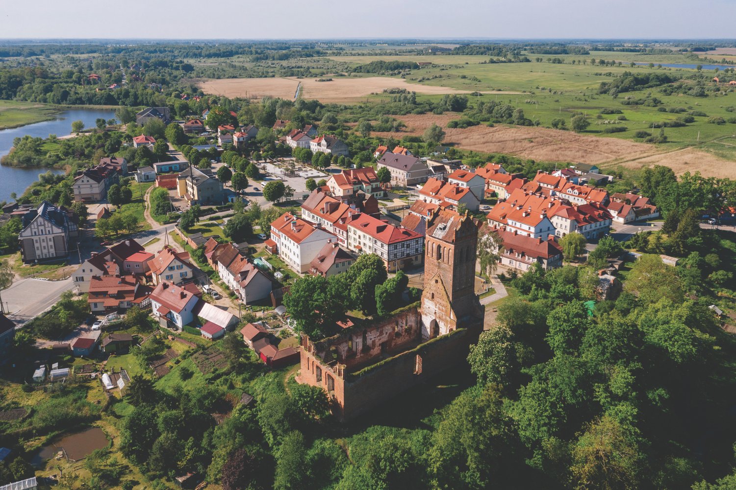 Фото: Андрей Белавин / Туту Медиаразведка