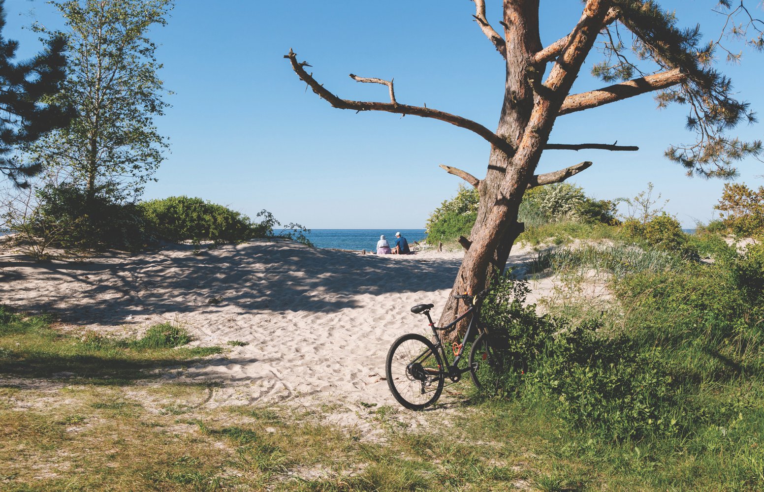 Фото: Андрей Белавин / Туту Медиаразведка