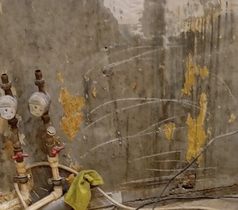 Мы в этой жизни.