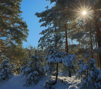 Солнечное утро.
