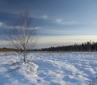 На косогоре