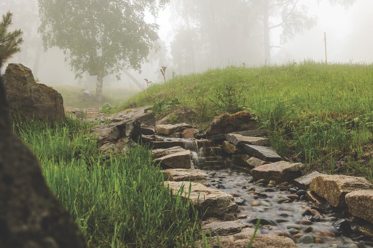 Фото: Валентина Малова