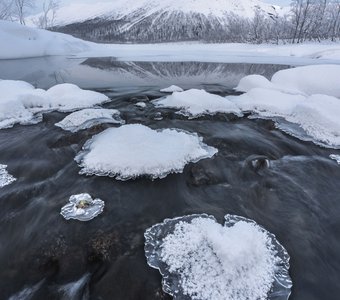 Сердце Малого Вудъявра