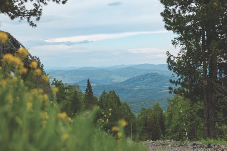 Фото: Валентина Малова