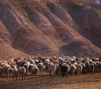 Я оглянулся посмотреть...