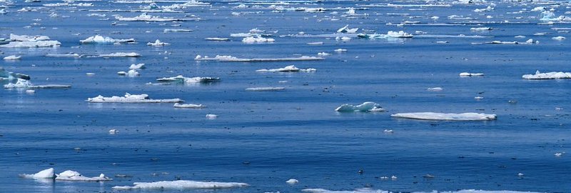 Уровень морского льда достиг исторического минимума