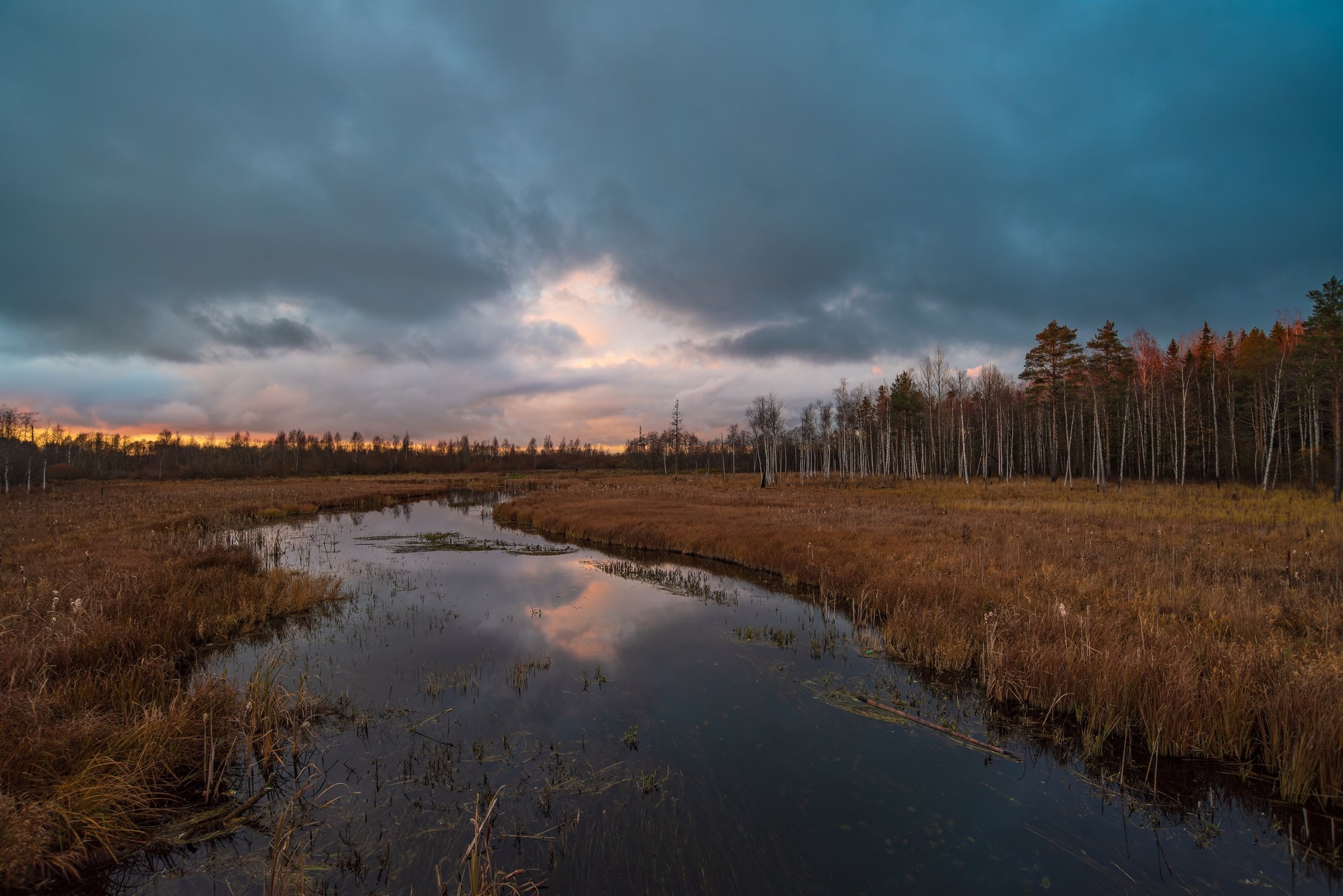 Пейзаж с птичьим профилем