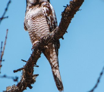 Что смотришь?