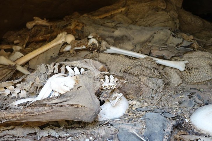 Фото: David Samuel Santos / Flickr