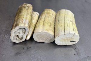 Российская туристка попыталась вывезти в трусах моржовые бивни