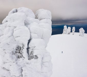 Среди великанов