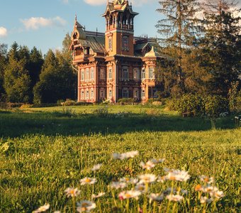 Лесной терем