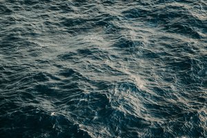 В Японии придумали новый способ борьбы с морской болезнью