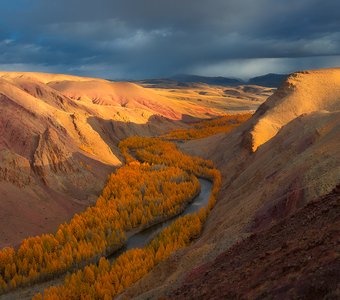 Урочище Кокоря