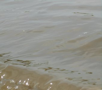 Бурное течение Оки